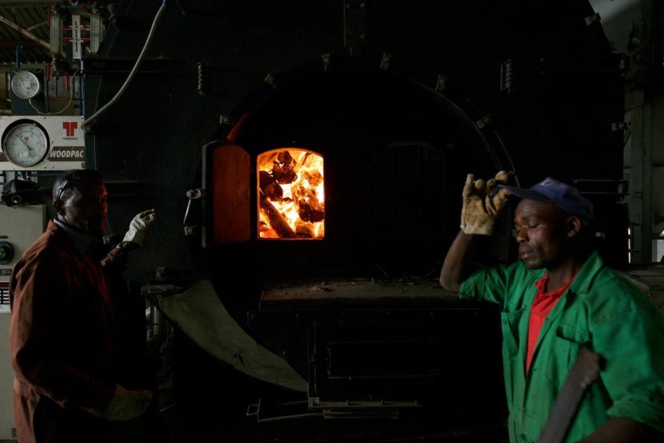 Factory workers recharge a kiln with firewood in Nyeri County, Kenya (AFP via Getty)