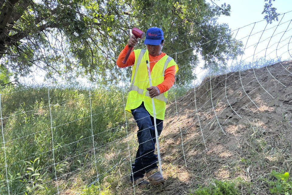 A goat herder from Peru puts up temporary fencing for a herd of grazing goats in West Sacramento, Calif., on May 17, 2023. Goats are in high demand to clear vegetation as California prepares for the wildfire season, but a farmworker overtime law threatens the grazing business. (AP Photo/Terry Chea)