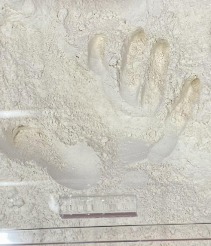 A hand print in some flour