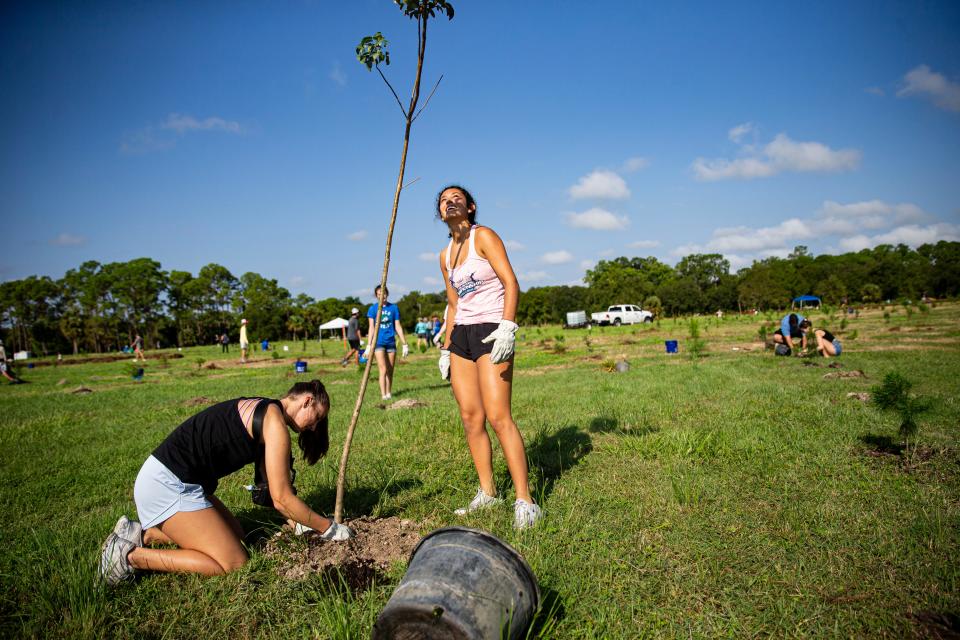 Maddison Parmelly and Nicole Deoliveria, both volunteers plant native trees at W.P. Franklin South Recreation Area on Sept. 24, 2022. It was an event put on by the U.S. Army Corps of Engineers several days before Hurricane Ian slammed ashore in Southwest Florida. Most of the trees planted that day survived.