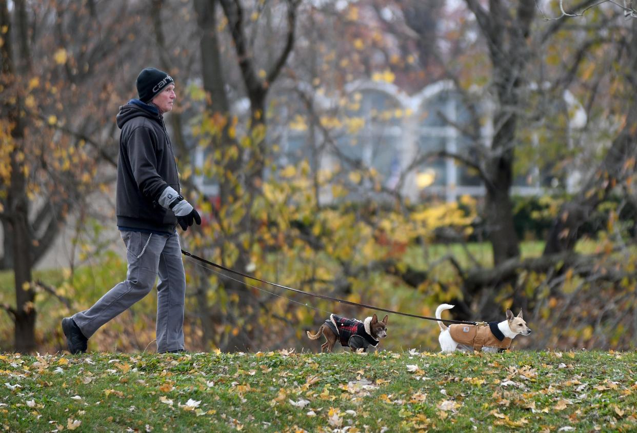 John Parks of Canton walks Rambo and Louis through Monument Park in Canton on a mild fall day.