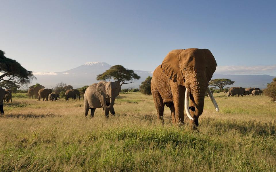 Imposante Kulissen wie diese durfte der Tierfilmer Andreas Kieling in 30 Jahren schon oft mit der Kamera einfangen. (Bild: ARTE / Andreas Kieling)