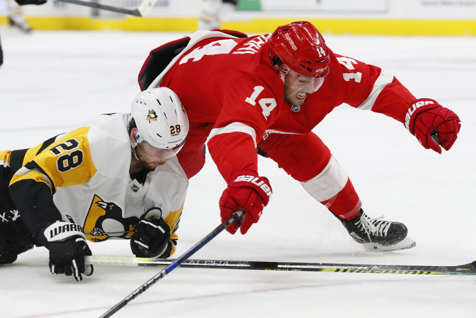 Pittsburgh Penguins defenseman Marcus Pettersson (28) and Detroit Red Wings center Robby Fabbri (14) battle for the puck in the second period of an NHL hockey game Friday, Jan. 17, 2020, in Detroit. (AP Photo/Paul Sancya)