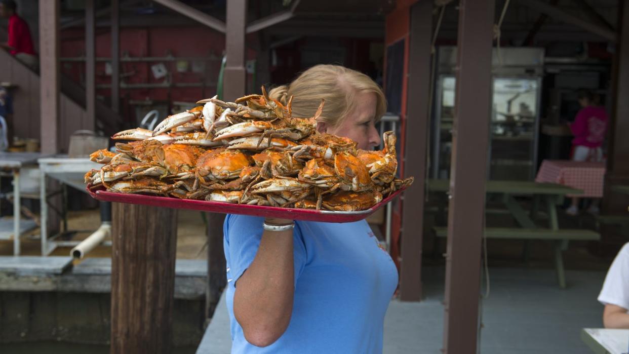 waitress serving crab at the crab claw restaurant at the