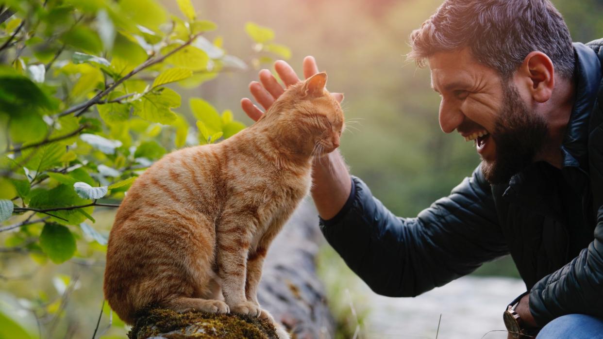 Man petting a stray cat