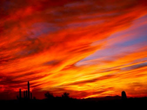 The sky bursts with color during sunset at Saguaro National Park.