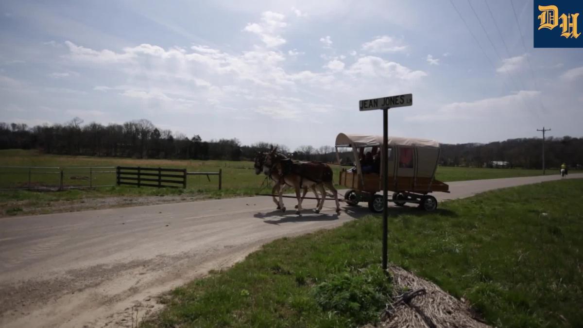 Watch Columbia's next generation of Mule Skinners as Mule Day nears