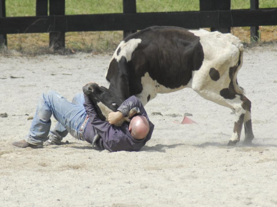 Anti Rodeo Action NZ