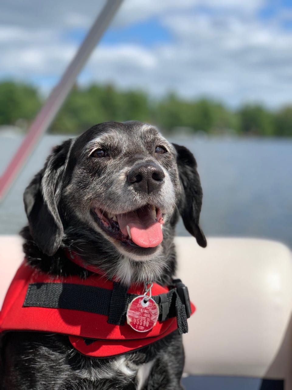 Annie knows how to stay safe on boat rides. Her life jacket is Short List approved.