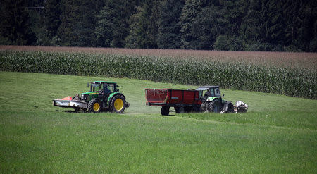 Farmers harvest a field in Warngau near Munich, Germany, July 30, 2018. REUTERS/Michael Dalder