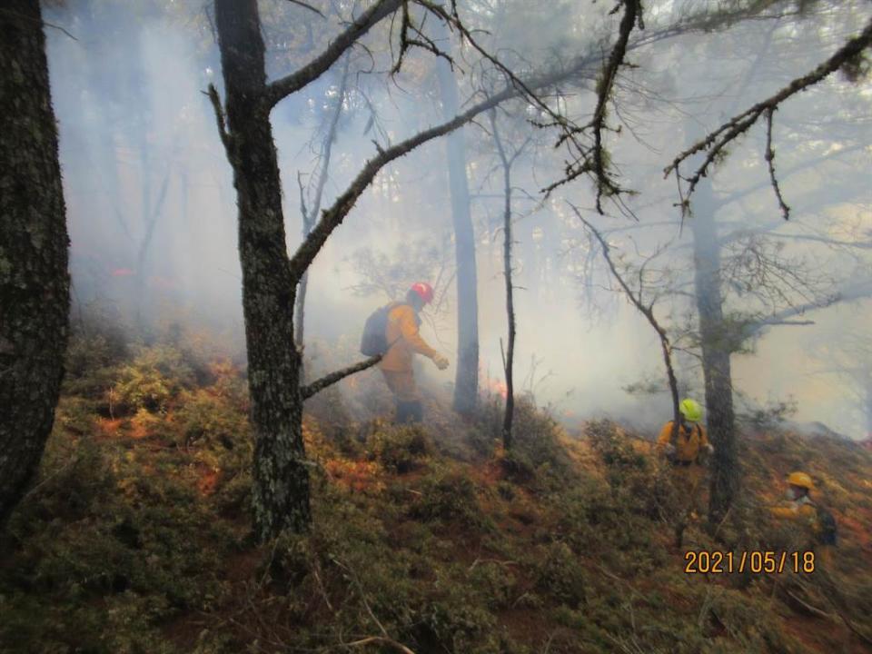 森林護管員長達半個月都在高山上冒著40度以上高溫與野火搏鬥。   圖：林務局提供