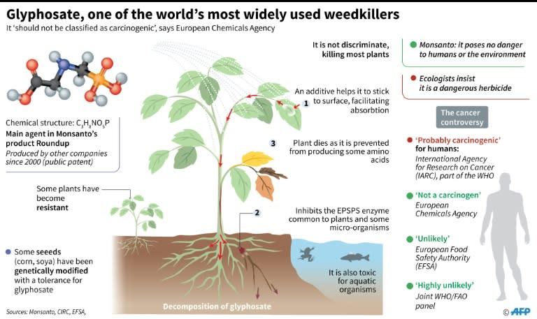 Weedkiller glyphosate