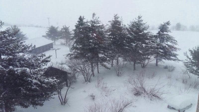 暴風雪吹襲北海道氣象廳籲萬人疏散港團未受影響