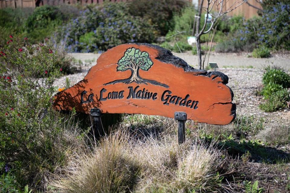 La Loma Native Garden in Modesto, Calif., Friday, March 24, 2023.