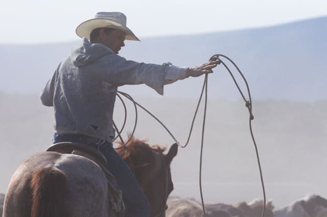 Trusted professions - and how to avoid the cowboys