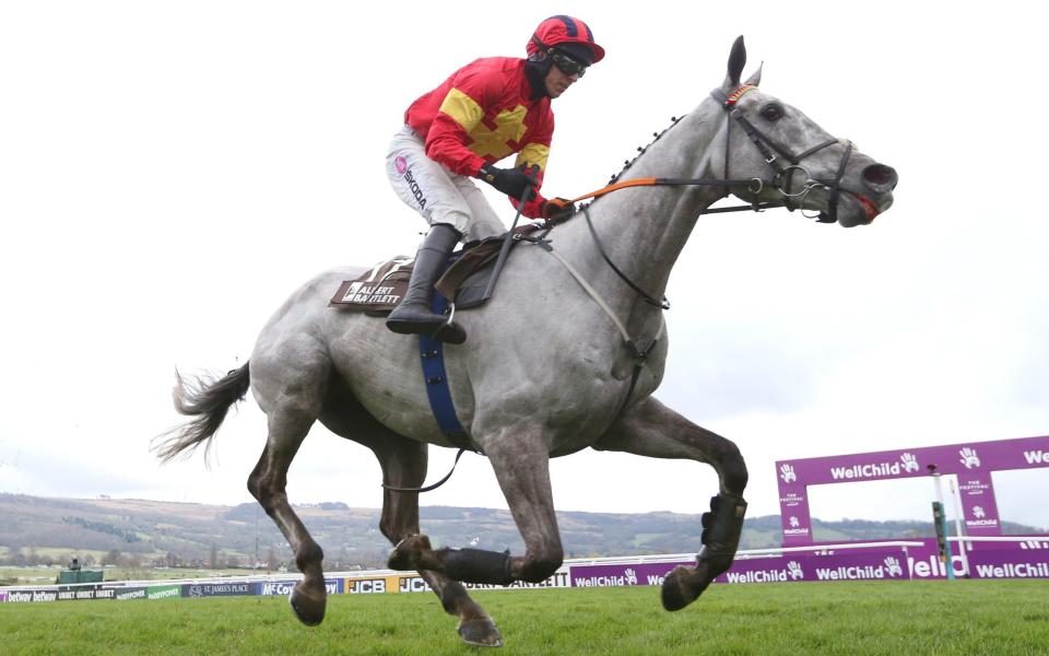 Vanillier - Grand National runners, riders, favourites & odds for 2024: Full horse list