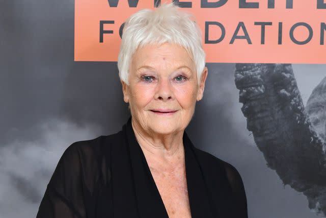 <p>Ian West/PA Images via Getty</p> Dame Judi Dench