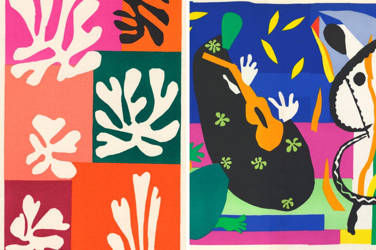 Fleurs de Neige and Tristesse, two of Henri Matisse's most revered works <i>(Image: Brighton and Hove Museums)</i>