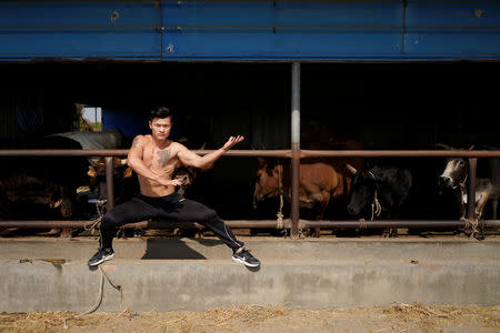 Bullfighter Ren Ruzhi, 24, poses at the bull stable of the Haihua Kung-fu School in Jiaxing, Zhejiang province, China October 27, 2018. REUTERS/Aly Song