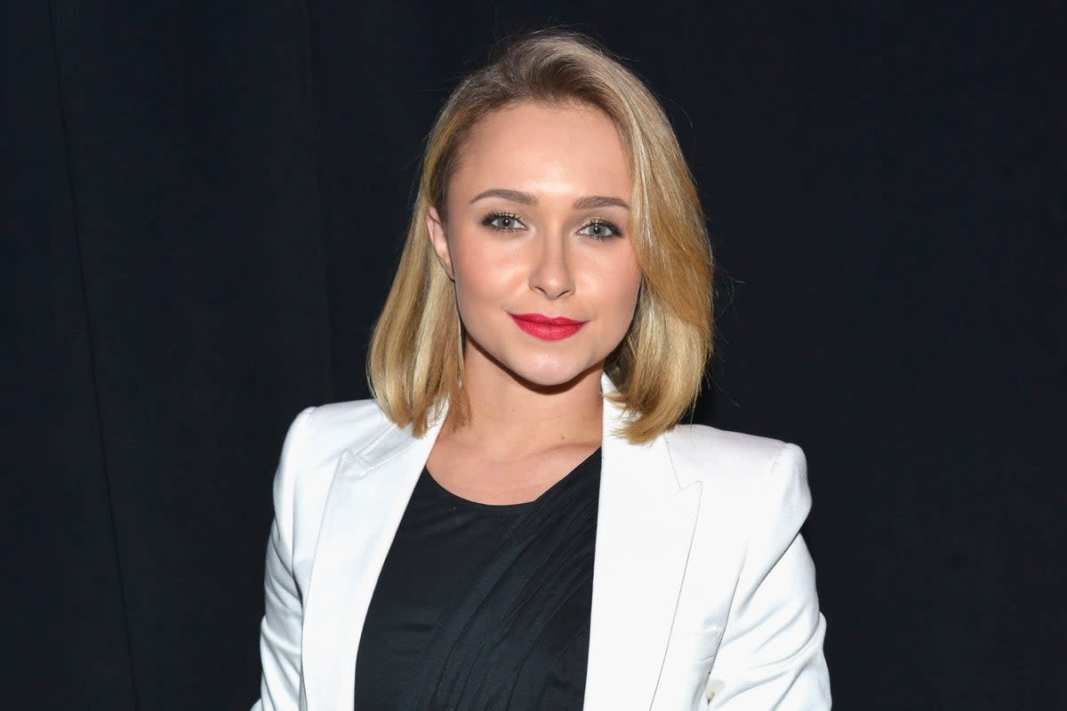 Hayden Panettiere has discussed giving up custody of her daughter  (Eugene Gologursky/Getty Images)