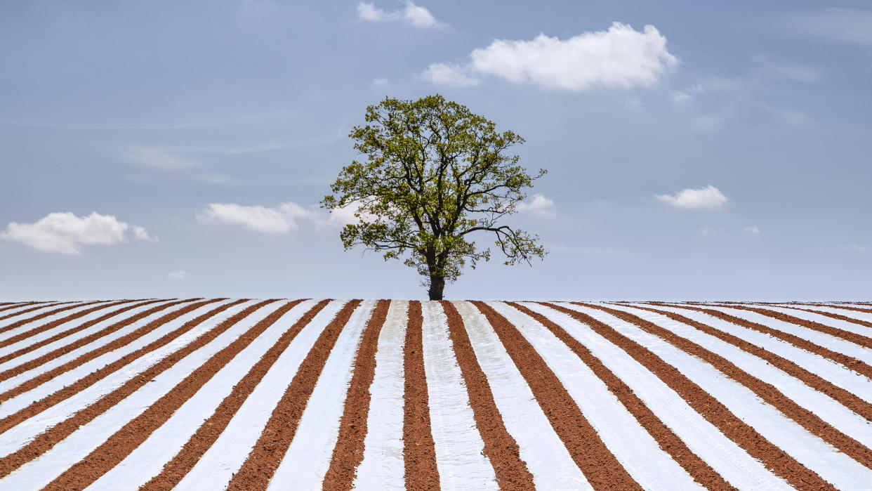  Landscape Photographer of the Year 2022 unseen images 