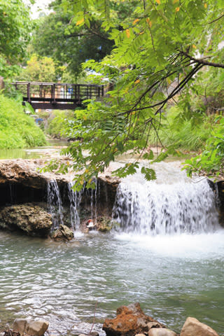  A.北投公園內的小瀑布稱為「瀧」，從地熱谷到公園出口共5瀧。 