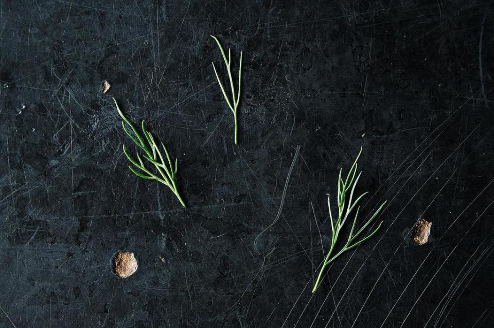 Dill and How to Use It from Stem to Seed, from Food52