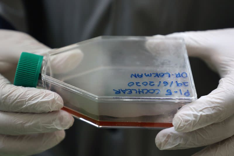 Malaysian Professor Muhammad Lokman Md Isa holds a flask containing Sumatran Rhinoceros cells at a laboratory in International Islamic University, in Kuantan