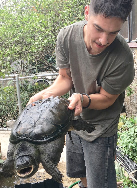 Andrés Cota Hiriart com uma tartaruga