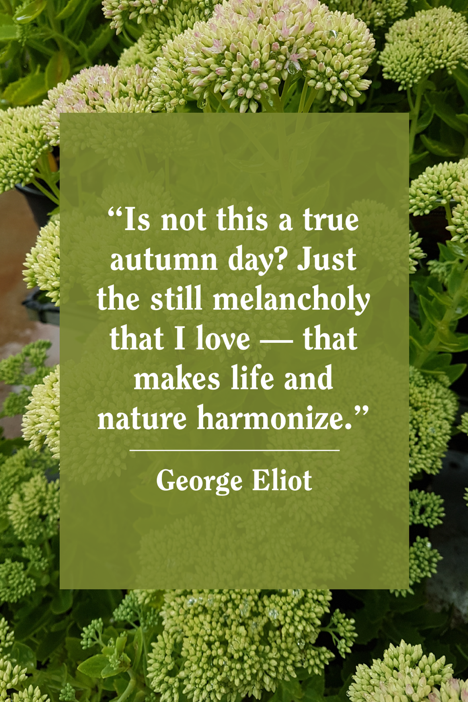 George Eliot