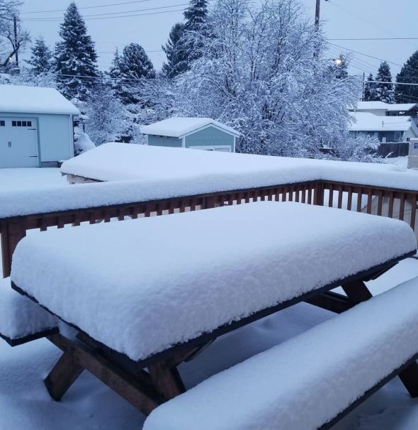 Snow in Seattle, Washington - 2/9/2019