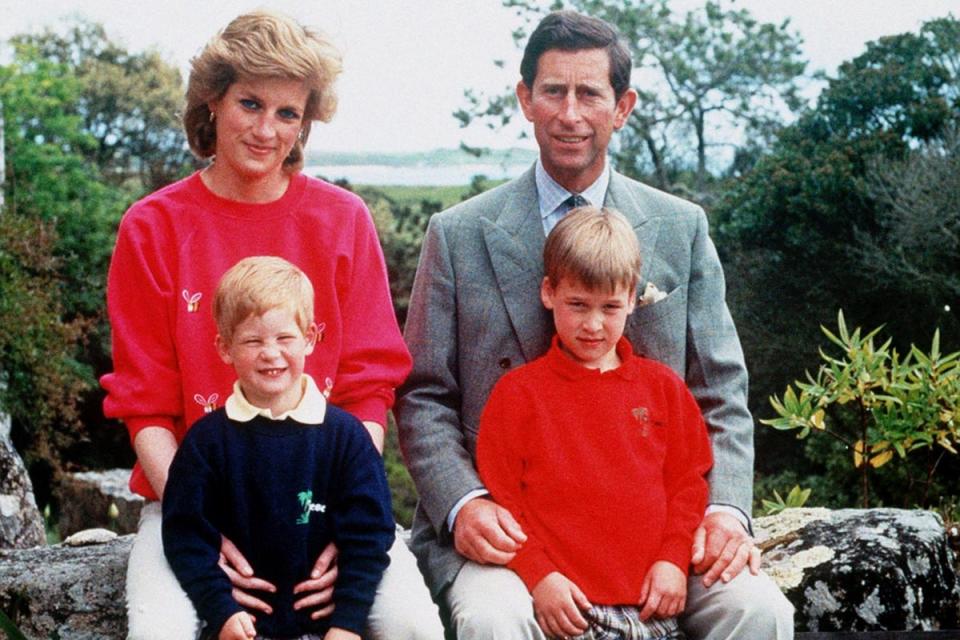 The Prince and Princess of Wales with sons Prince William, right, and Prince Harry relaxing in Tresco during their holiday in the Scilly Isles (PA Images)