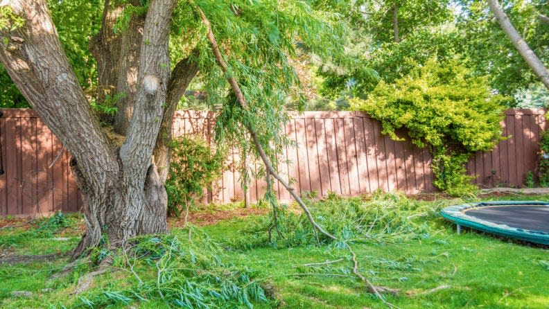 If possible, try to keep your trees trimmed of dead branches or limbs well before a storm rolls through to reduce the possibility of injury during or after a storm.