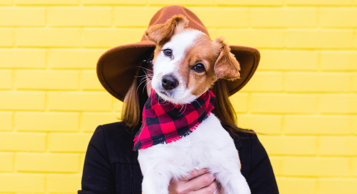 You can now buy a bandana for your dog that matches you face mask. (Getty Images)