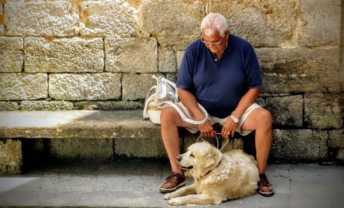 Estos son los daños que provoca la ceniza en humanos y mascotas