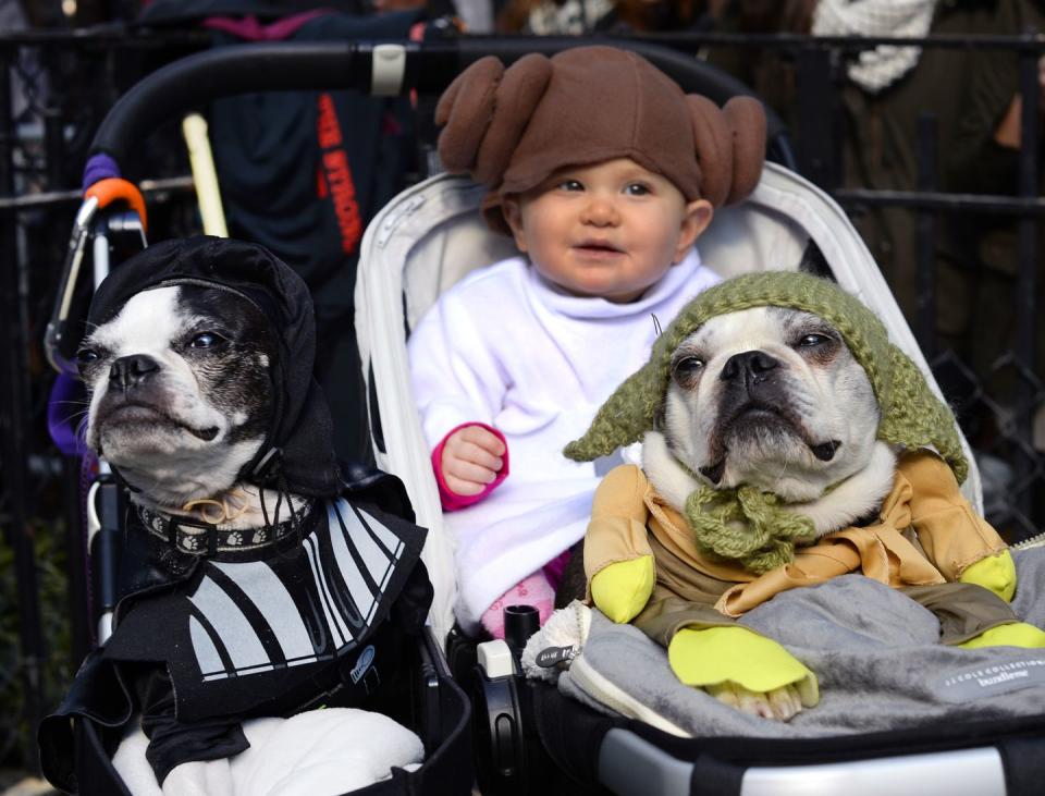 12) Darth Vader, Leia, and Yoda Halloween Costumes