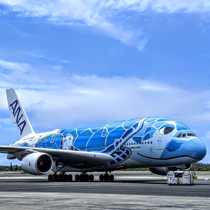 A 2.1 kilogramme tortoise caused a 15-minute delay for five flights at Narita Airport after it was spotted on the runway. — Picture courtesy of Facebook/ All Nippon Airways