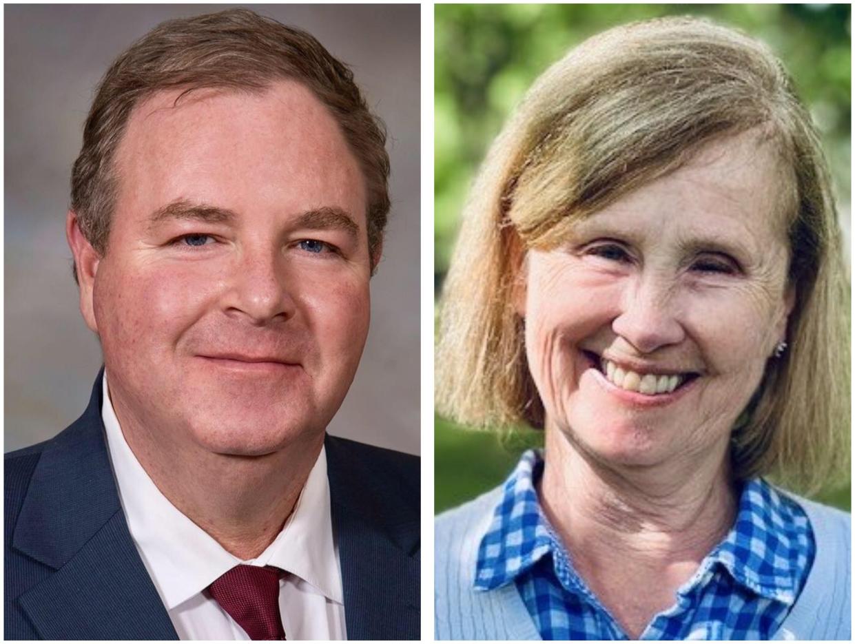 State Sen. Bill Gannon, R-Sandown, is being challenged by Brenda Oldak, D-South Hampton, for the N.H. state Senate seat representing District 23.