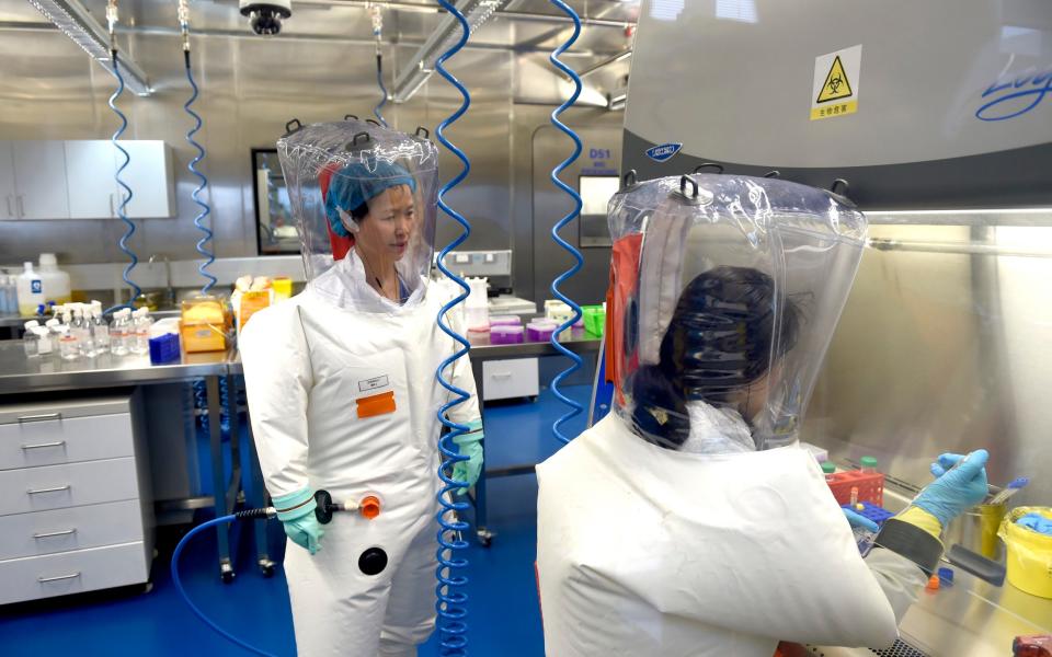 Virólogos en un laboratorio WIV - Colaborador de Barcroft Media/Getty Images