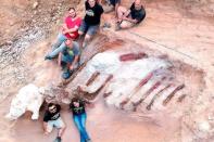 <p>Des paléontologues portugais et espagnols ont exhumé au début du mois d'août, dans le jardin d'une maison du centre du Portugal, des ossements fossilisés d'un dinosaure qui pourrait être le plus grand sauropode jamais découvert en Europe.</p>