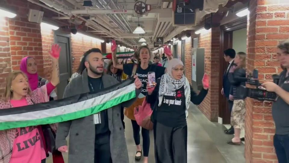 Anti-Israel protesters demonstrate at US Capitol complex