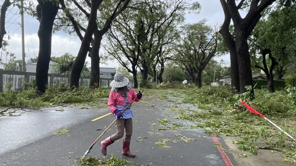 山陀兒颱風讓高雄市連放4天颱風假，今早環保局人員清理傾倒的路樹及街道。記者劉學聖／攝影