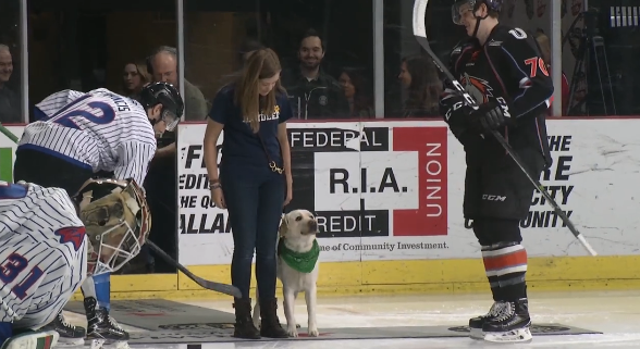 Adorable dog drops the puck before the ECHL’s Missouri Mavericks take on the Quad City Mallards. (Facebook/Quad City Mallards)