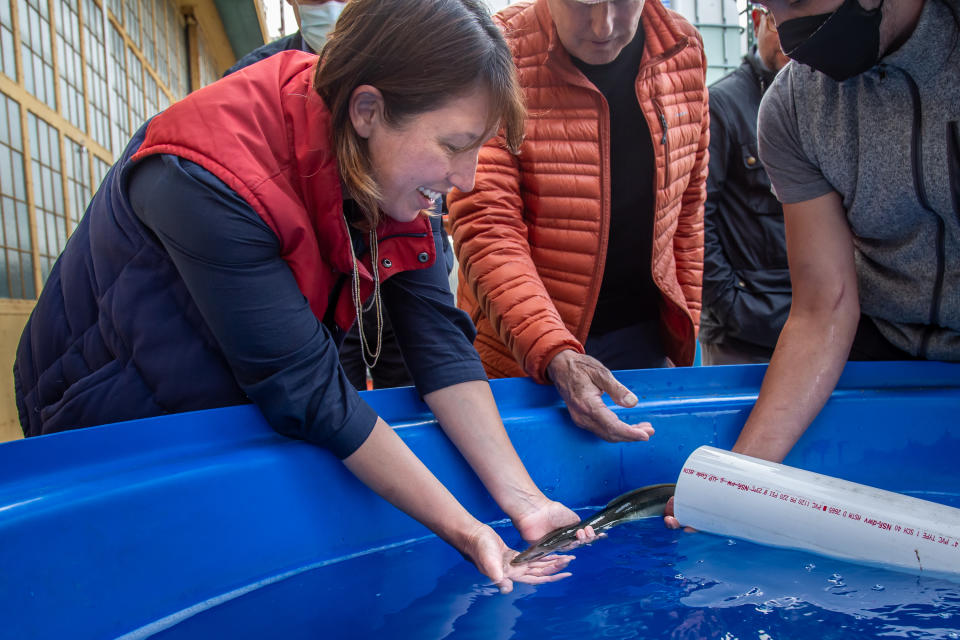 Natel co-founder and CEO, Gia Schneider, admires an American eel in the recirculating aquaculture system Natel maintains to enable unique through-turbine fish passage testing at the company's headquarters in Alameda, Calif., in 2021.<span class="copyright">Courtesy of Natel Energy</span>