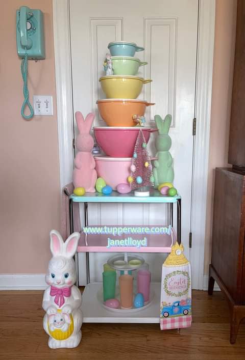 Janet Lloyd, a Tupperware consultant and stay-at-home mother of four, creates displays for her Tupperware products.