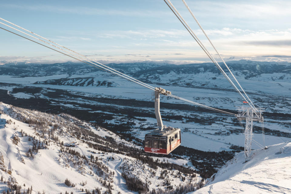 The Aerial Tram.<p>Stephen Shelesky/Jackson Hole Mountain Resort</p>