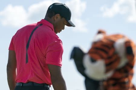 December 3, 2017; New Providence, The Bahamas; Tiger Woods on the driving range during the final round of the Hero World Challenge golf tournament at Albany. Kyle Terada-USA TODAY Sports