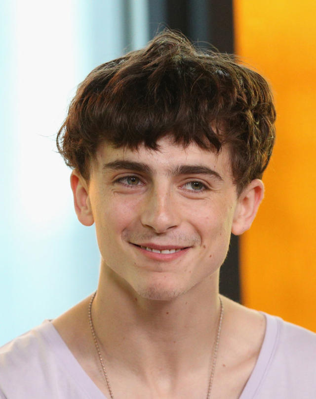 timothee chalamet hair