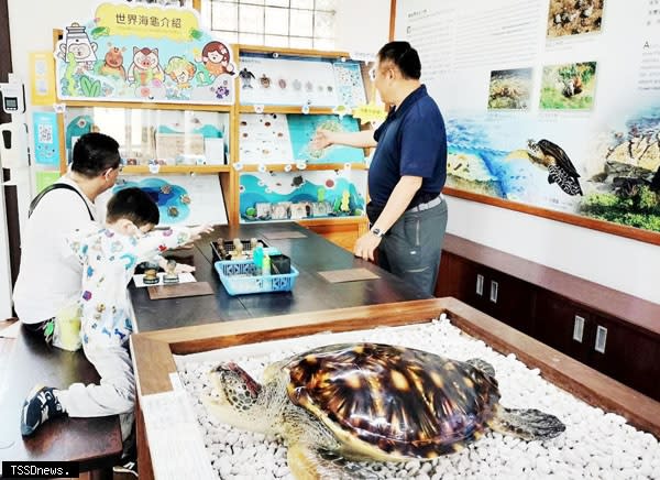鵬管處於小琉球遊客中心設置世界海龜櫥窗，盼成吸睛教育平台。（記者毛莉攝）