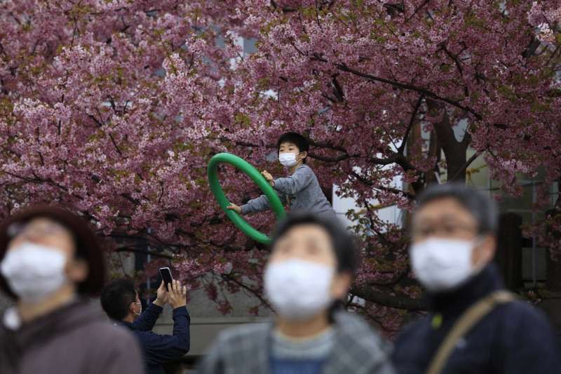 日本武漢肺炎（新冠肺炎）疫情越來越嚴重，2020年櫻花季大受影響（AP）